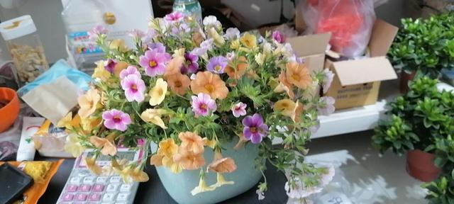 司马南先生与联想