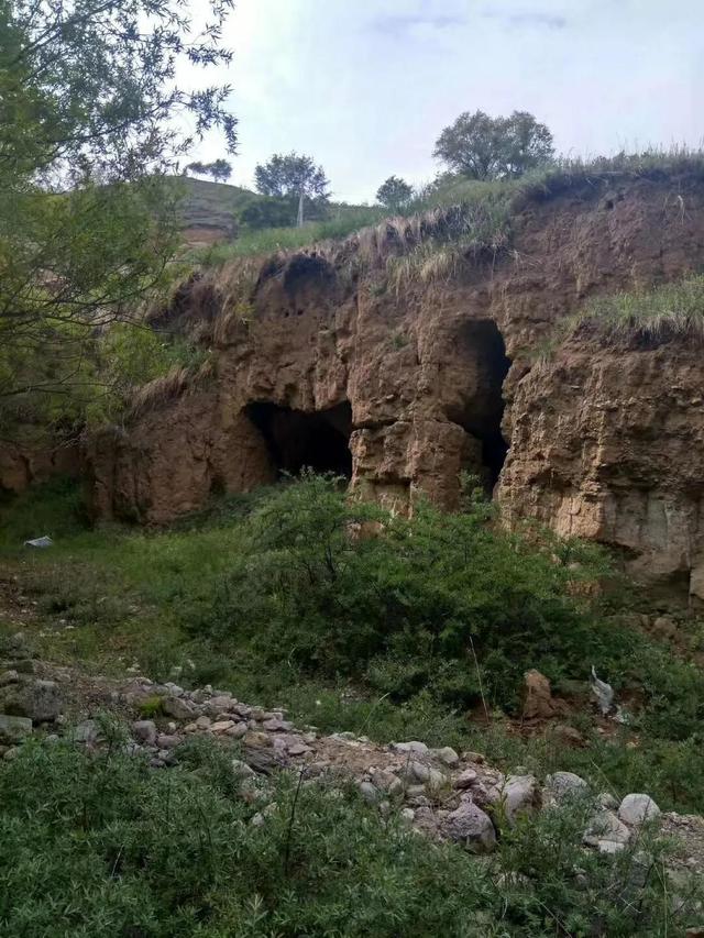 到死也不甘心，甘肃，永远回不去的故土，父亲含泪睡土在新疆
