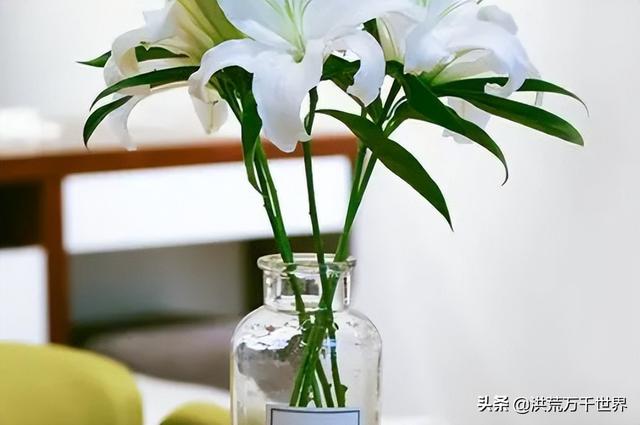 水里加什么可以让鲜花更持久（在水里加什么花能保持新鲜）