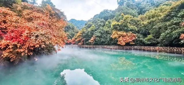 雙龍溝最全打卡攻略出爐，推給朋友絕對沒錯！