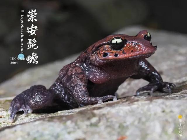 黄石洗砂机哪家便宜