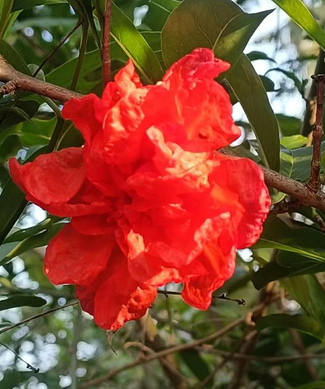 那一抹笑容，涤荡我心