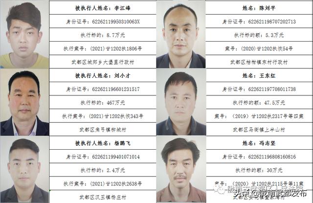 曝光! 武都区法院公布2022年第一批失信被执行人名单（172人）