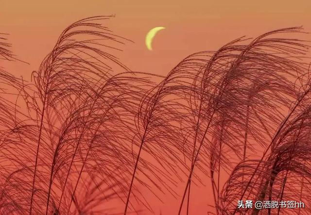 治愈系文案短句