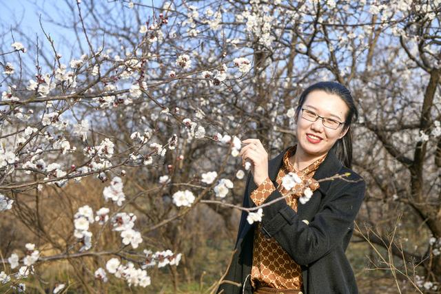 苍马山红杏枝头春意闹