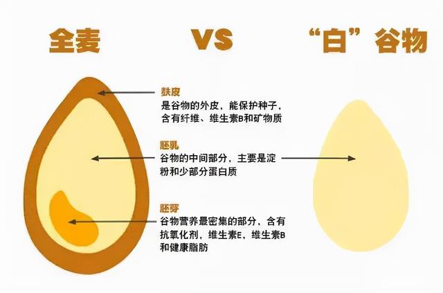 什么是膳食纤维？什么是食物全食与饱腹感，膳食纤维有哪些好处