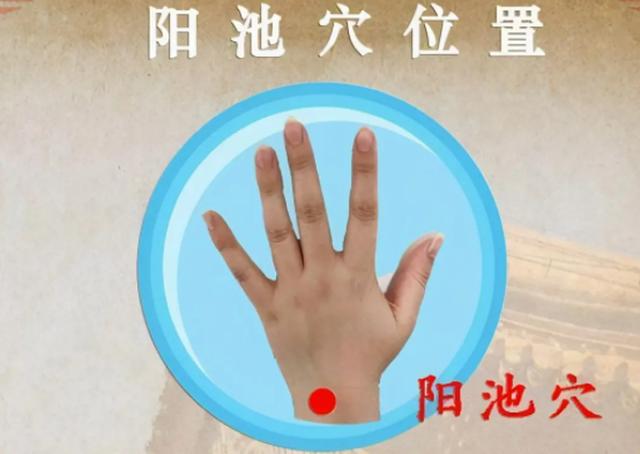 阳池穴——调理“手足冰凉、落枕、肩周炎”的原穴