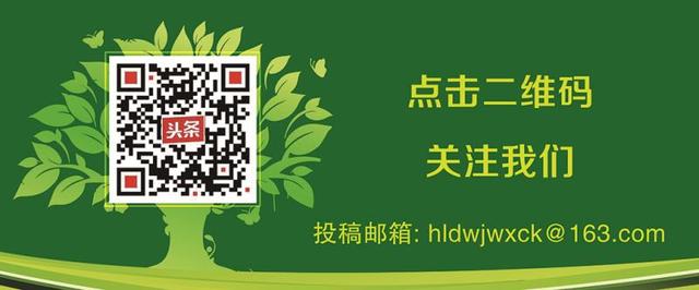 2022年3月31日0时至24时辽宁新型冠状病毒肺炎疫情情况