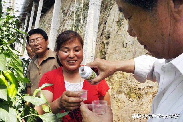 如何正确认识、正确挑选与正确使用芸苔素内酯？注意这几点10