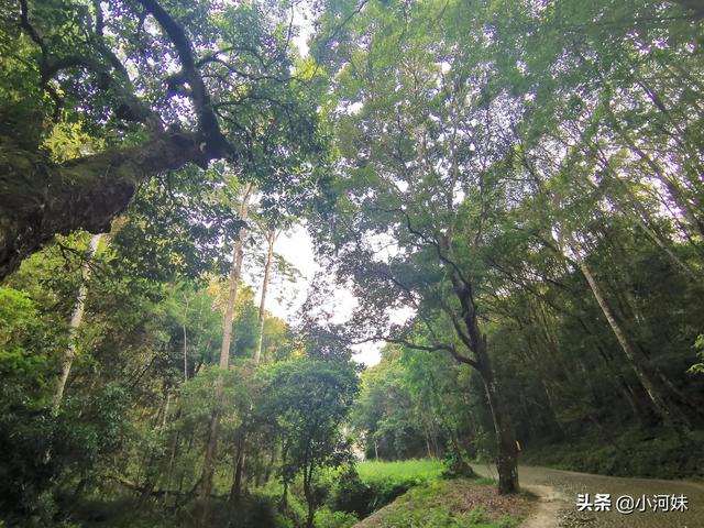 廣東粵北有座道觀，全國唯一一處以福字命名，其景觀更是一絕