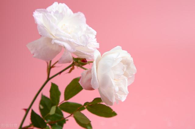 孩子们的成长 离不开父母的关爱