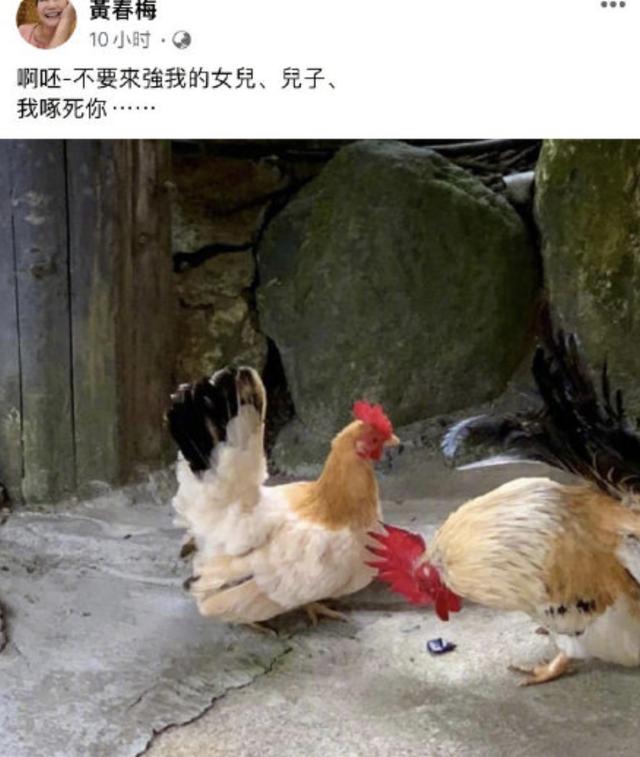 别劝了，大S再婚可能不是结局