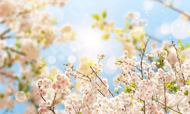 【24节气饮食养生】春分：阴阳平衡抑肝阳，健脾益气育肾阴