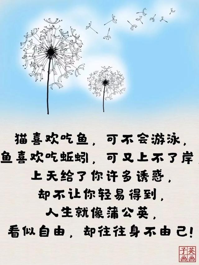 句句经典，句句大实话