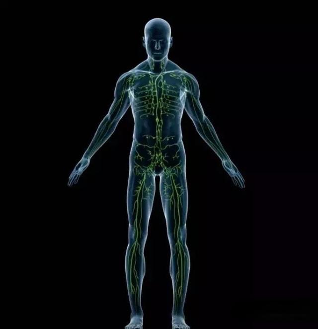 注意！只有睡眠可清扫你脑中的垃圾！睡眠不足会让人变傻、变痴呆