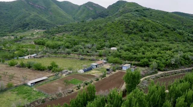 情侣住荒野7年租30亩地自耕自食