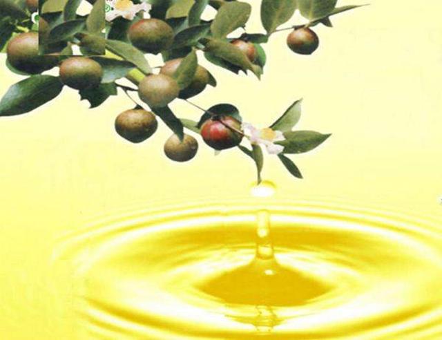 食用植物调和油是什么油（食用植物调和油是橄榄油吗）