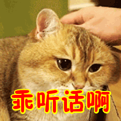 失眠吃酸枣仁没效果？可能是你吃法错了