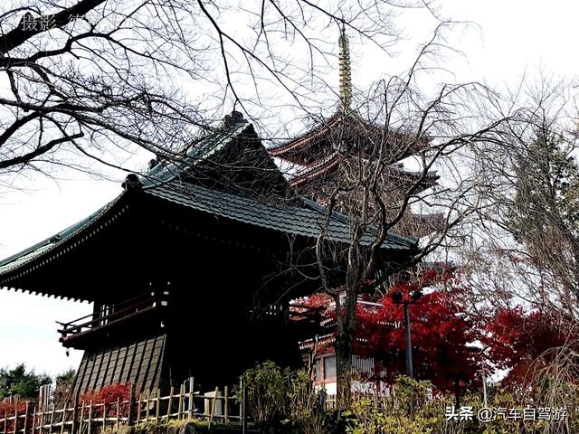 德村志成：落葉殘楓依然美麗，久違北小金本土寺