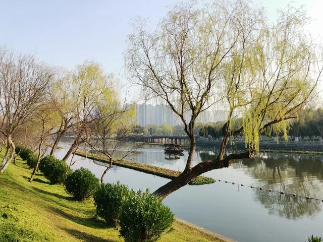陶醉在春光里，惊艳在时光中