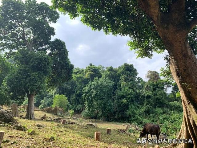 港台海外客家系列之十四：隱世客家村--蛤塘