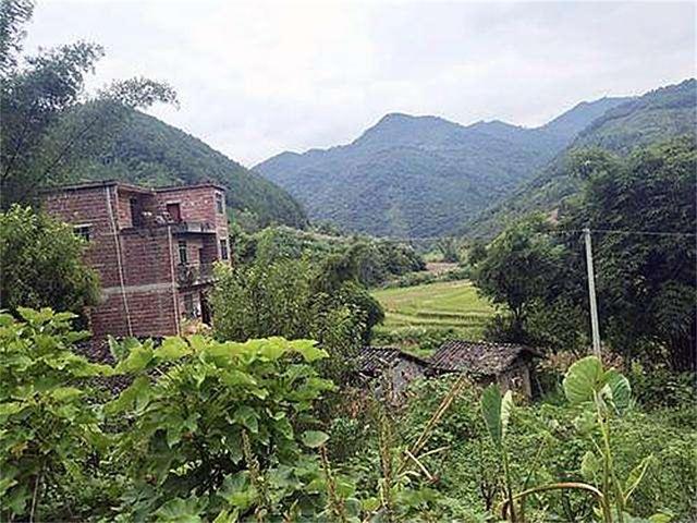 1969年，广西一山村挖出一口棺材，郭沫若为何气得连叹三声？
