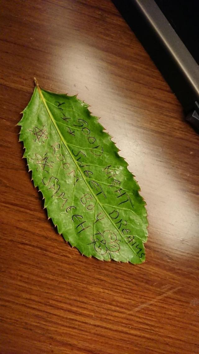 有人說是世界上最好的目的地我說一般