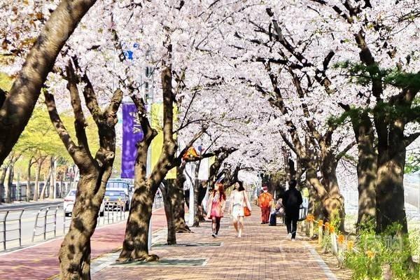 疫情期持韓國C38簽證可申請H25簽證​入境韓國