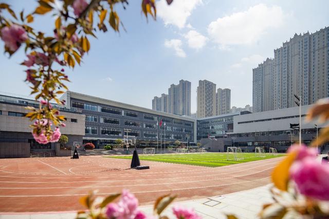 问题孩子教育学校怎么管理(怎么管理好孩子的教育问题)(图19)