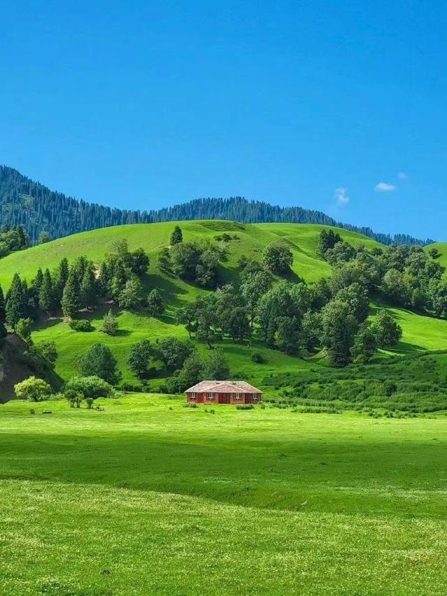 [苹果快乐星球语音群发]，微信怎么上传动态图到朋友圈