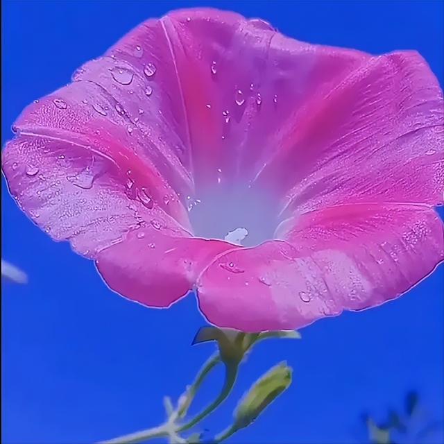 朋友圈很流行的句子，励志阳光，文采飞扬