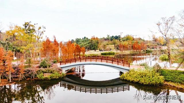 金堂光霧山！私藏在這處公園裏的冬日幻境