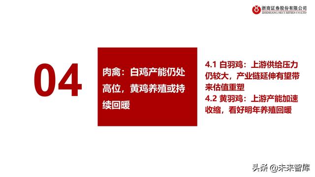 农林牧渔业2022年投资策略:种业、生猪、肉禽、疫苗行业分析