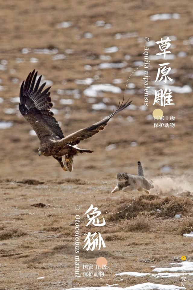 黄石洗砂机哪家便宜