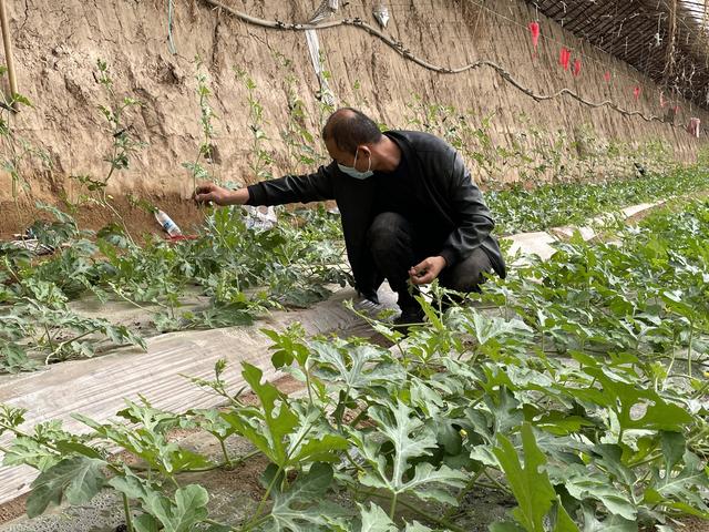 种好“菜园子”鼓起钱袋子