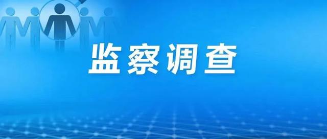 上海一公寓负责人侵吞防疫物资被查