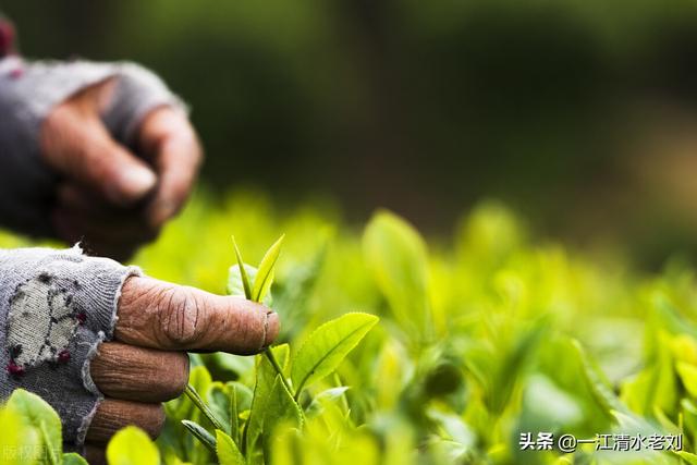 qq年度十大热聊好友怎么看