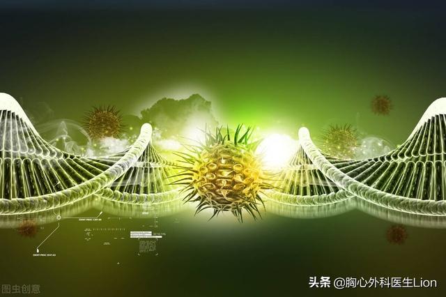 https://www.meipian.cn/56gqf4nw
