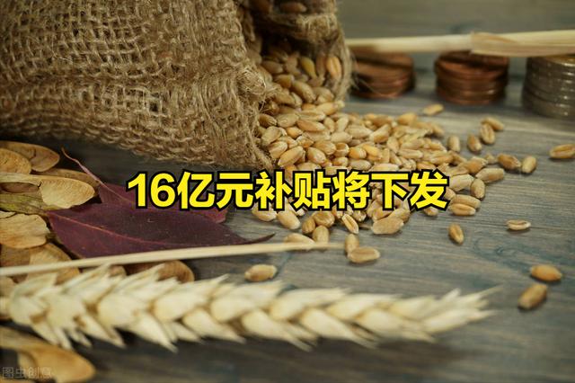 22个省，16亿元小麦“一喷三防”补助将下发，哪些人能领？