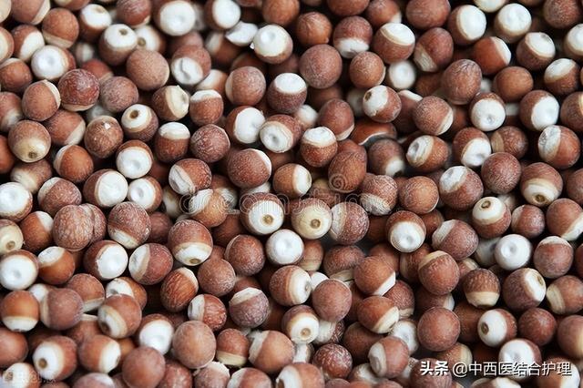 「中医养生」二十四种杂粮功效大揭秘，受用一生