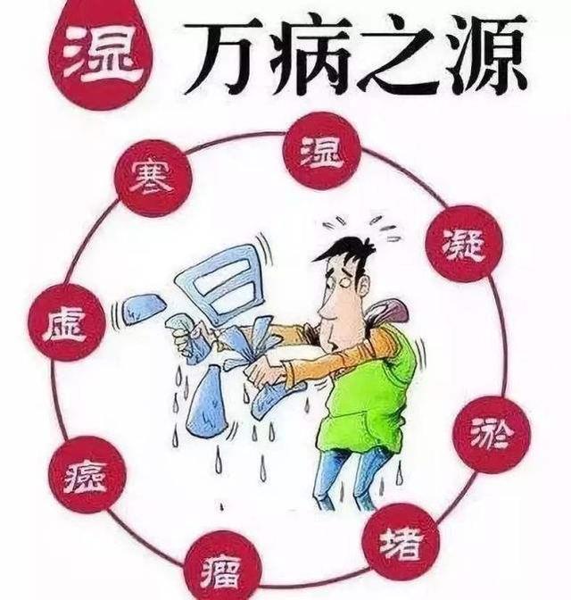 湿气重，如何祛湿？这些中成药辨证用药效果较好