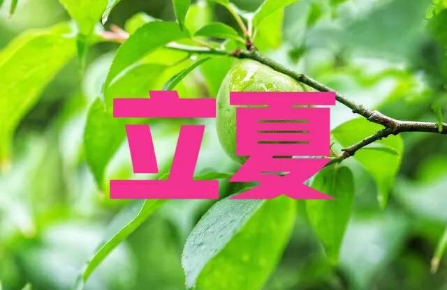 天气预报：三伏天气热吗？农谚“热不热，就看立夏”，啥说法？