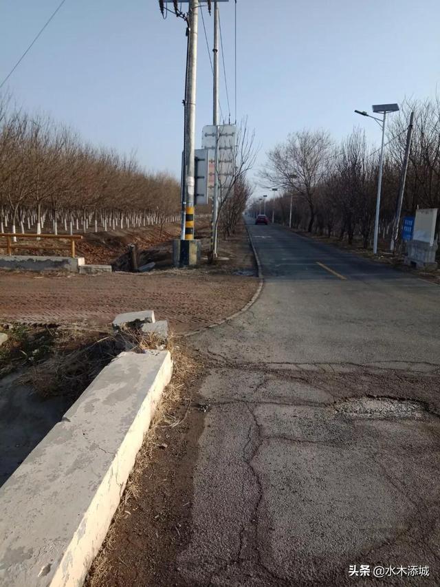 割舍不断是乡情