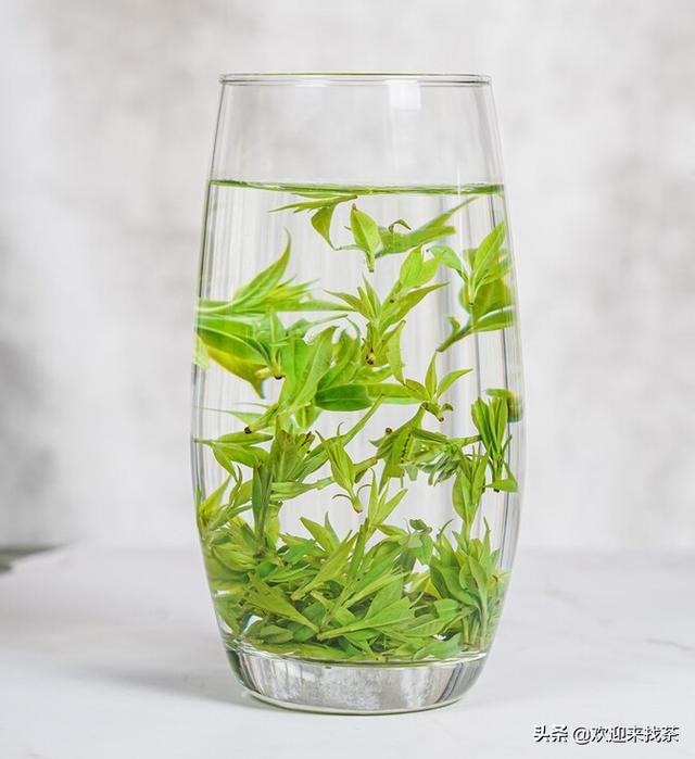 立夏之后，喝什么茶好