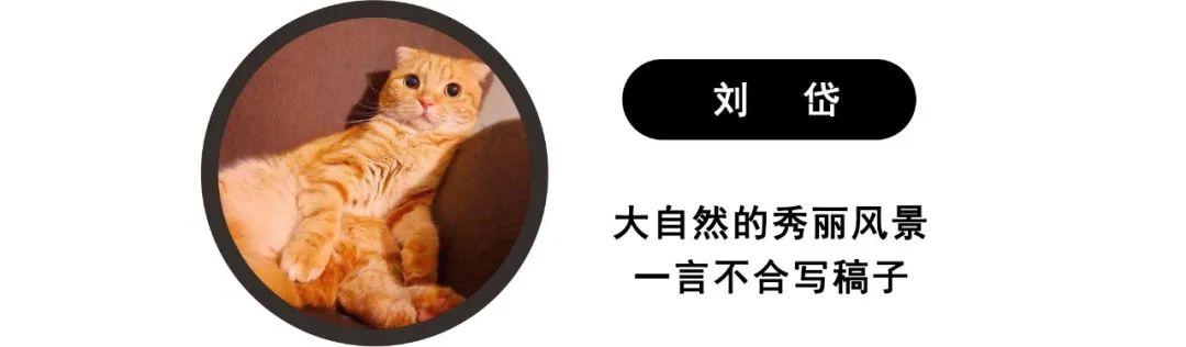 够“辣”，上汽大众凌度L诠释辣感美学