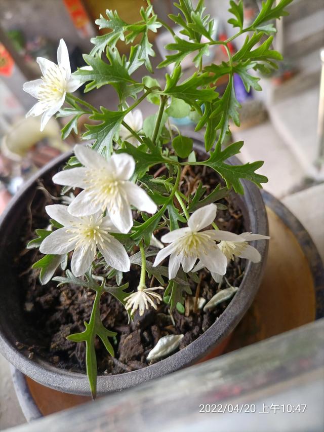 生活随笔记