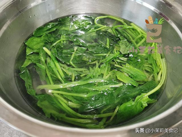 早春尝鲜多吃菠菜，叶酸含量高，简单一拌就很香，家人爱吃身体好