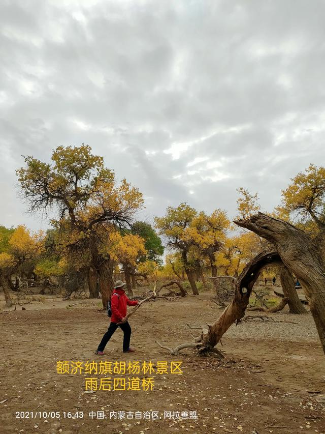 西行漫記之10月5日內蒙古篇