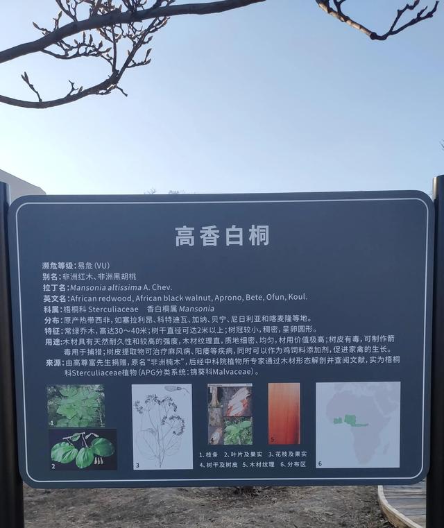 中科院北京植物園就挨著北京植物園，今天來逛一逛