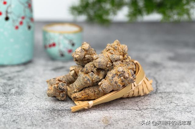 讲一味三七，细数其6大功效，4个细节，原来贵有贵的道理